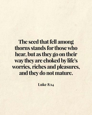 Image 06