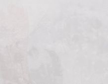 White Background 4 - 3375x2625
