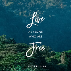 1 Peter 2:16