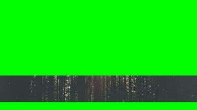 Green Screen