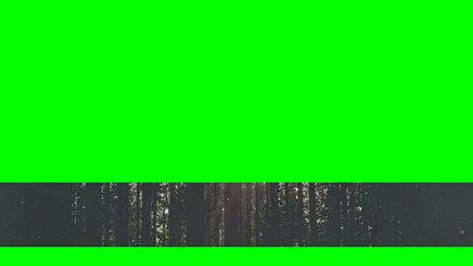 Green Screen