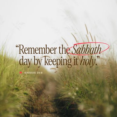 January 11 - Square