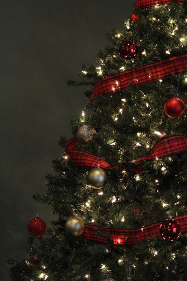 Christmas Tree 8
