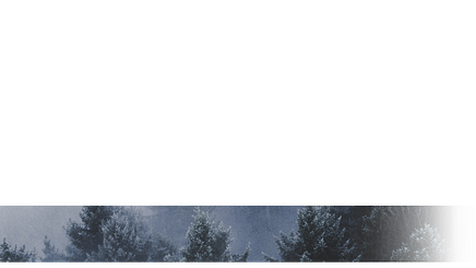 L3 Blank