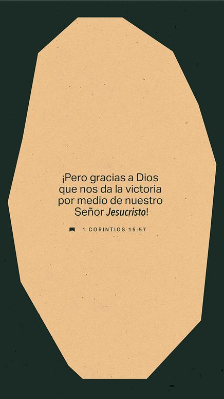 02 de diciembre - Vertical