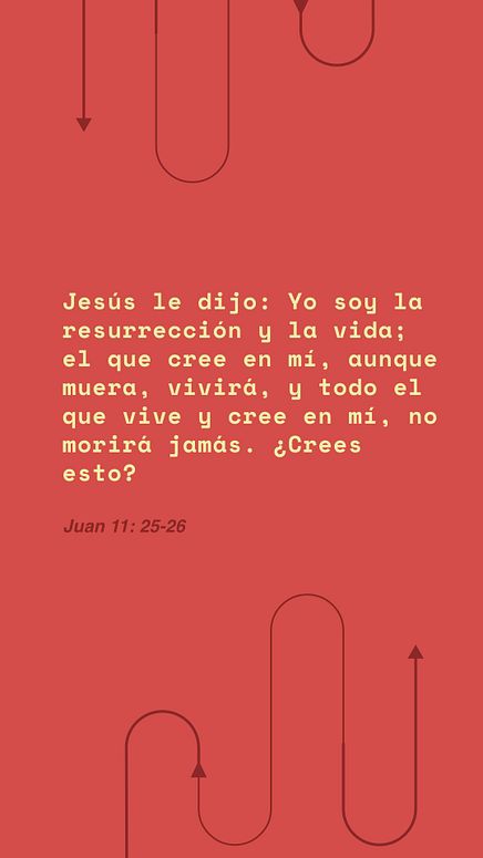 05 de diciembre - Vertical