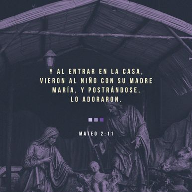 26 de diciembre - Plaza 2
