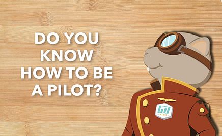 Pilot
