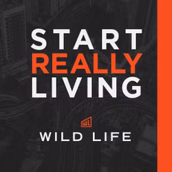 Wild Life Men's Event & Small Group Resources - Season 2