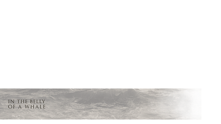 Slide - Lower Third