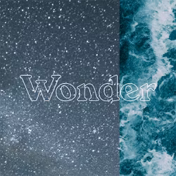 Wonder