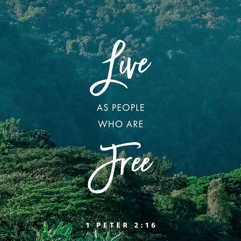 1 Peter 2:16