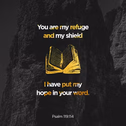 Psalm 119:114