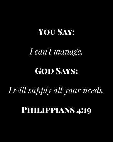 Image 06