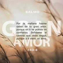 04 de marzo - Plaza