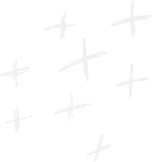 Multi Plus