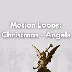 Motion Loops: Christmas - Angels