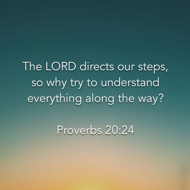 Proverbs 20:24
