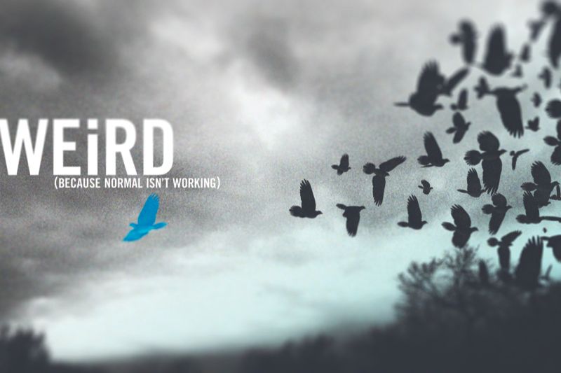 Banner 2