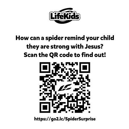 Spider Surprise Sticker - Back