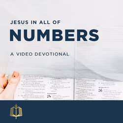 Jesus In All Of Numbers