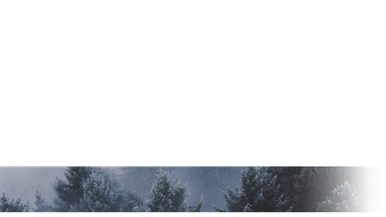 L3 Blank