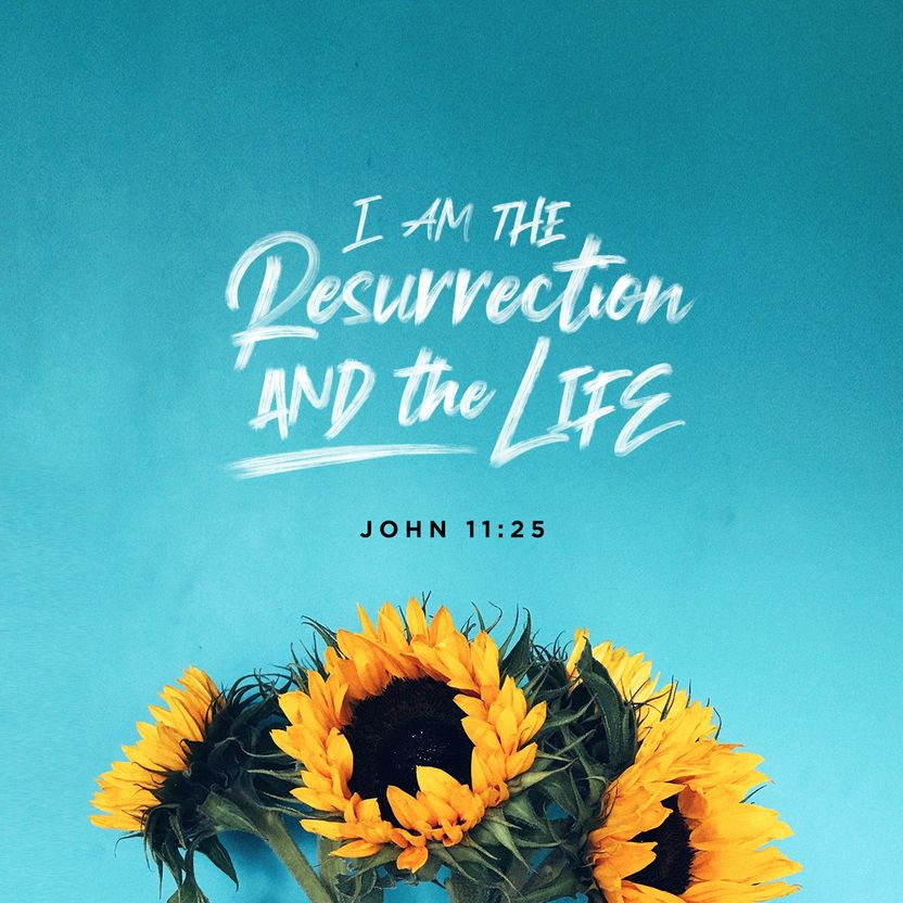 John 11:25