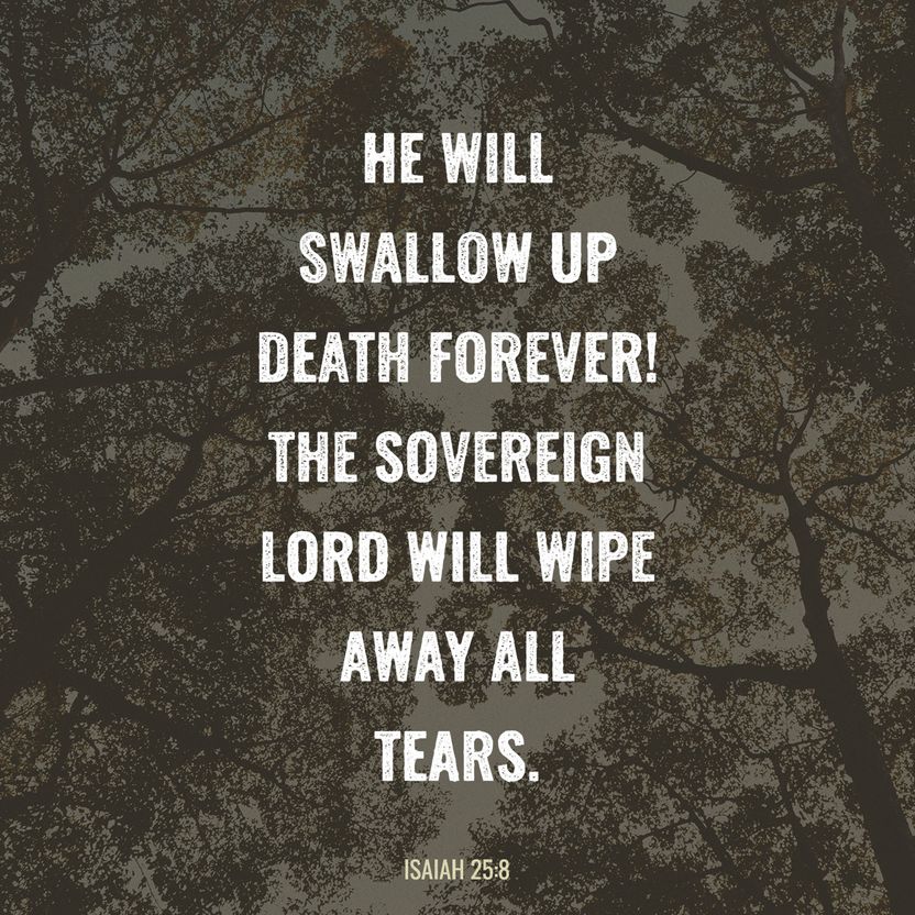 Isaiah 25:8