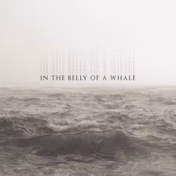 In the Belly of a Whale 