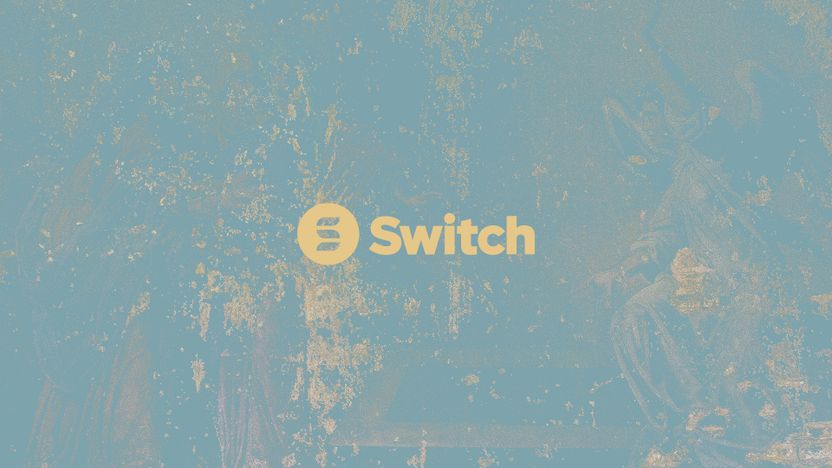 Switch Logo 2