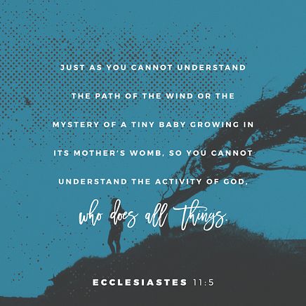 Ecclesiastes 11:5