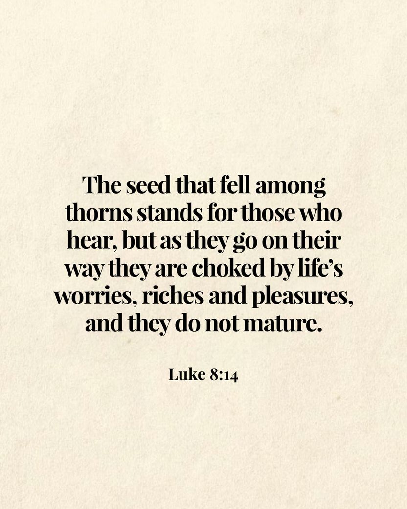 Image 06