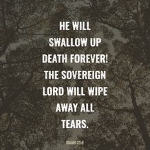Isaiah 25:8