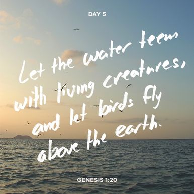Creation Series Day 5