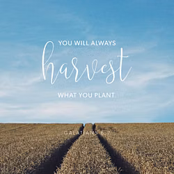 Galatians 6:7