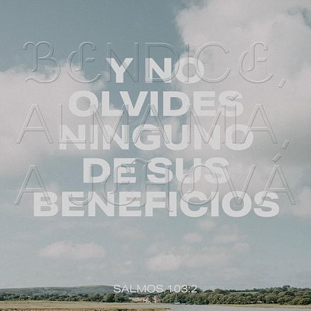 10 de enero - Plaza