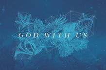 Web Banner