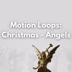 Motion Loops: Christmas - Angels
