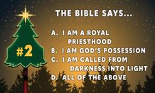 Question 2