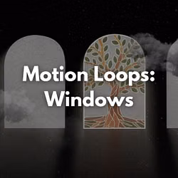 Motion Loops: Windows