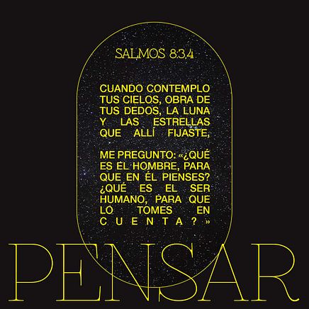 26 de enero - Plaza