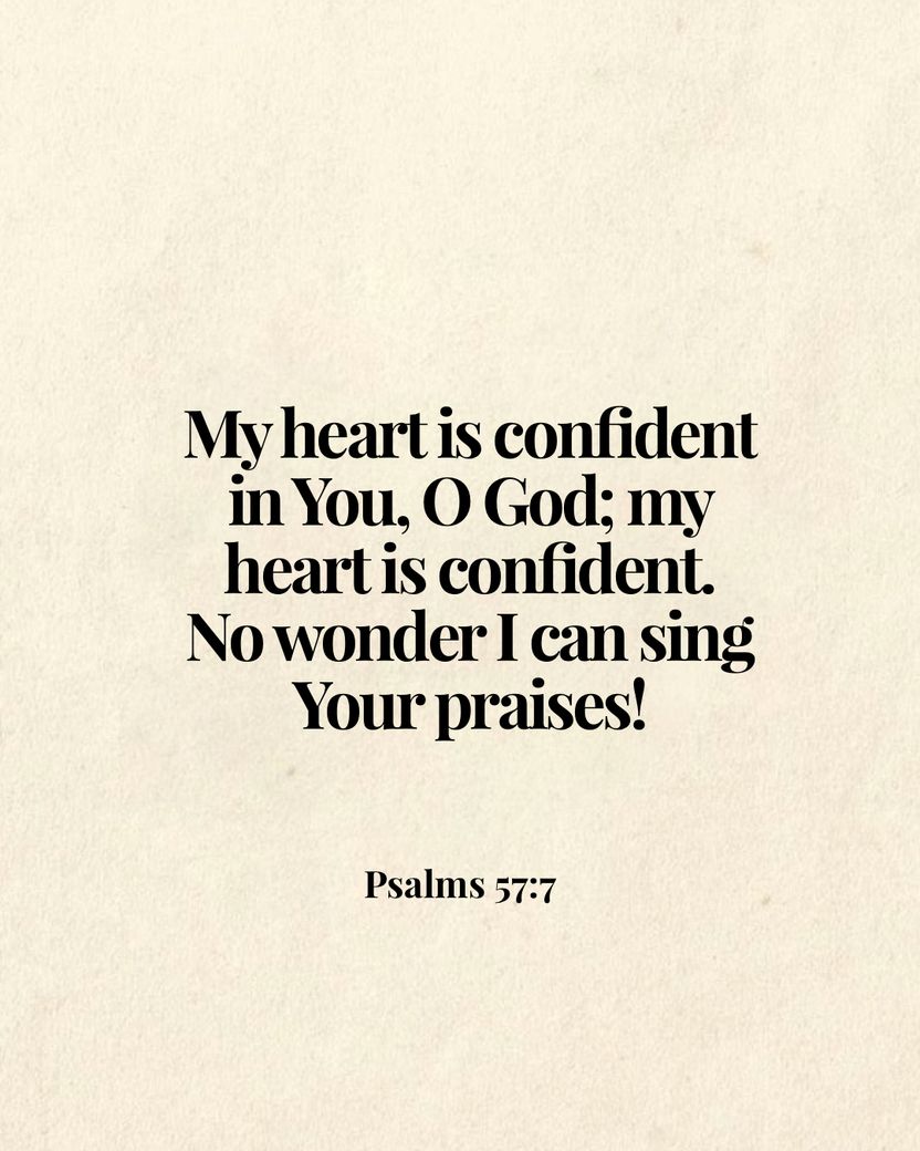 Image 03