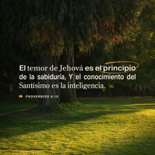 28 de mayo - Plaza