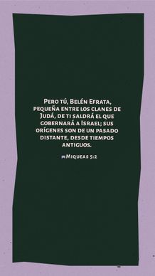 17 de diciembre - Vertical