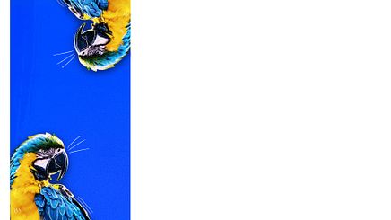 Blue Side Parrot 1920x1080