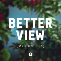 Better View (Acoustic)