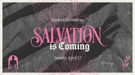 Salvation is Coming Artwork