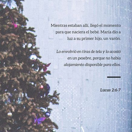 22 de diciembre - Plaza 1