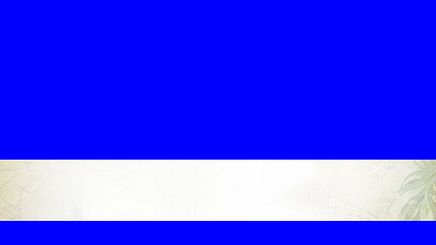 Blue Screen 2