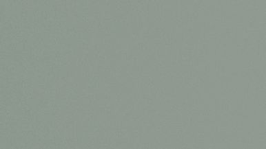 Solid Green Background 1920x1080